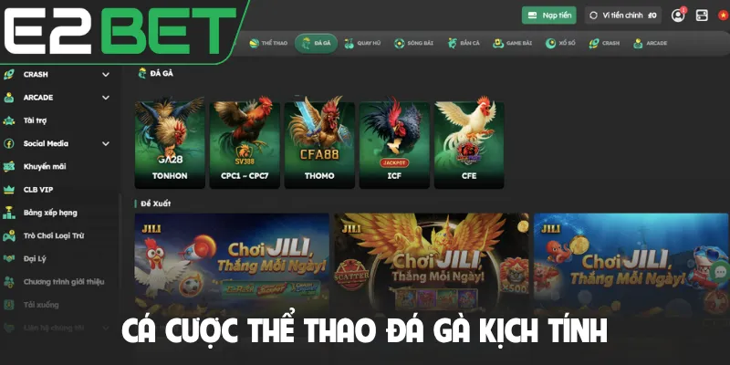 Cá cược thể thao đá gà kịch tính