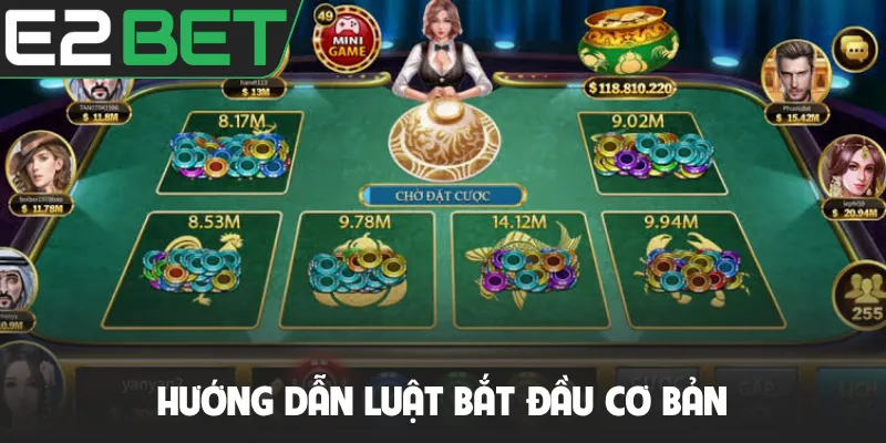 Hướng dẫn luật bắt đầu cơ bản