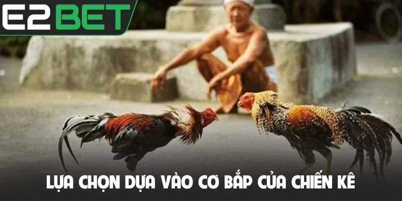 Lựa chọn dựa vào cơ bắp của chiến kê